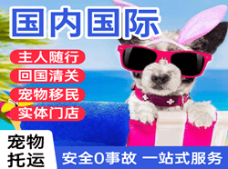 长沙空运国际宠物托运 【国